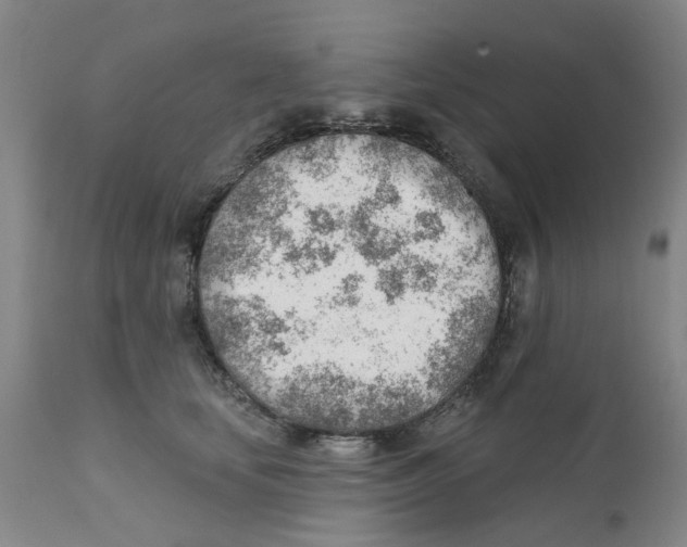 X0000111940659200908241141