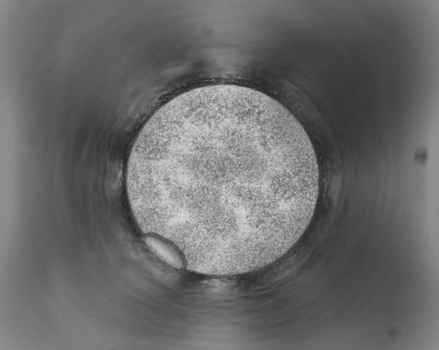 X0000111940660200908241141