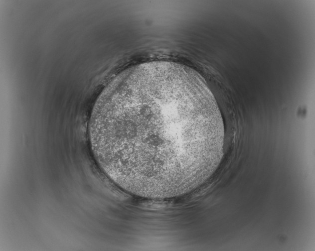 X0000111940661200908241141