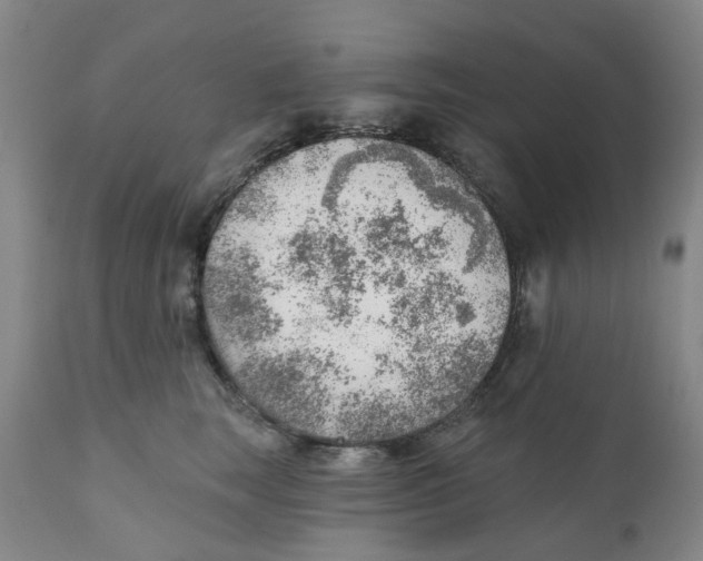 X0000111940663200908241141