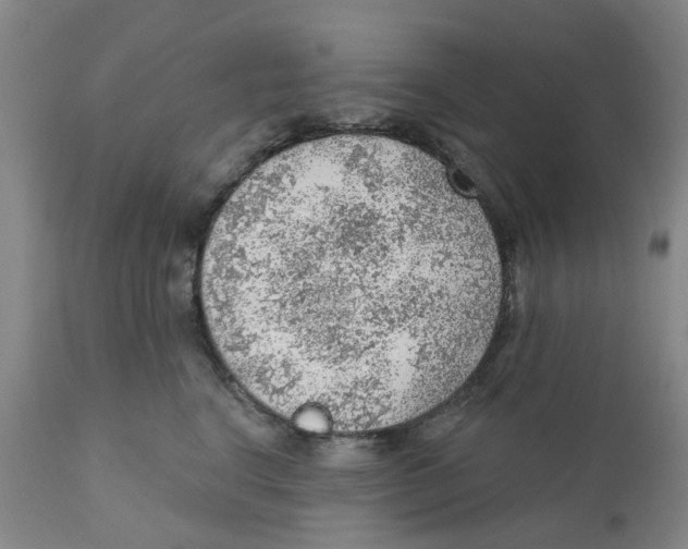 X0000111940664200908241141