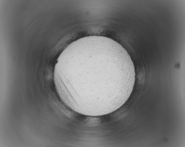 X0000111940665200908241141