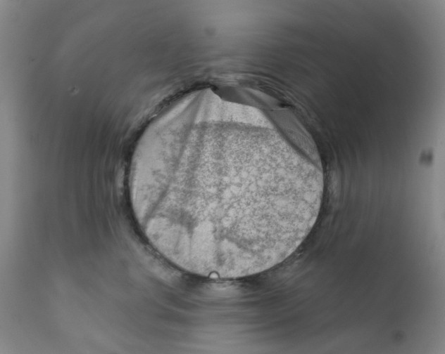 X0000111940668200908241141