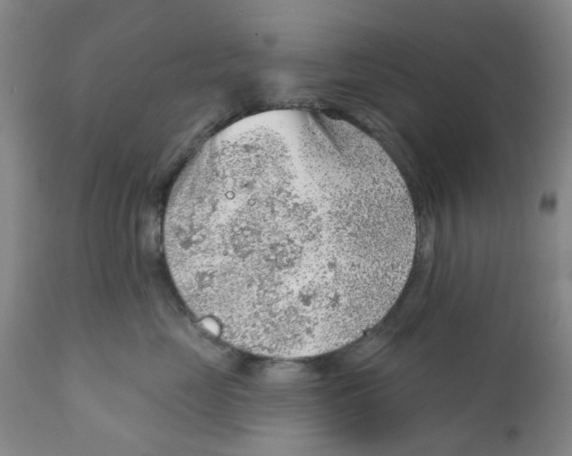 X0000111940669200908241141