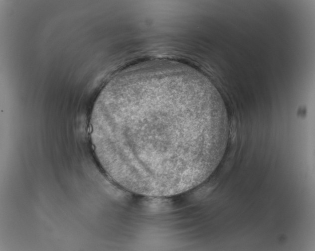 X0000111940670200908241141