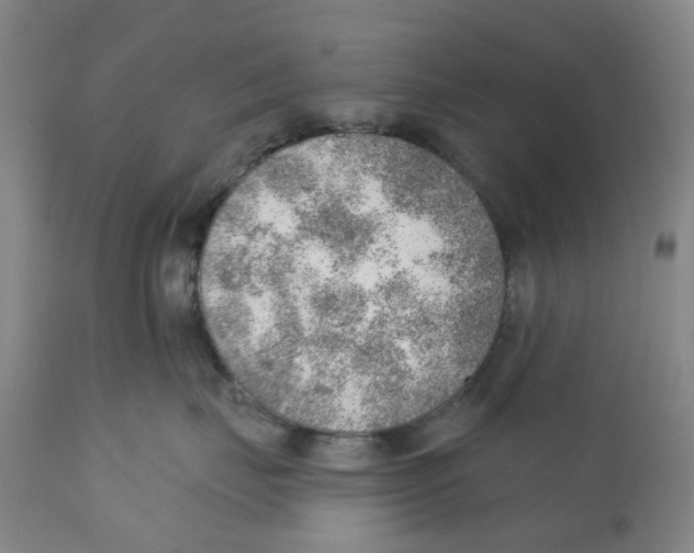 X0000111940671200908241141