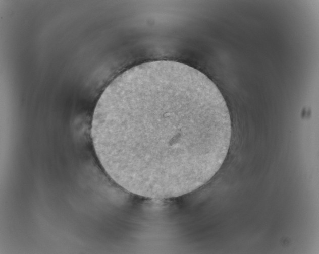 X0000111940672200908241141