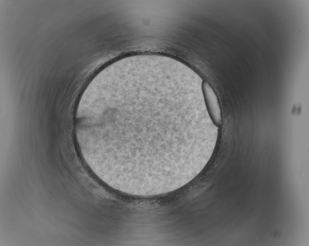 X0000111940673200908241141