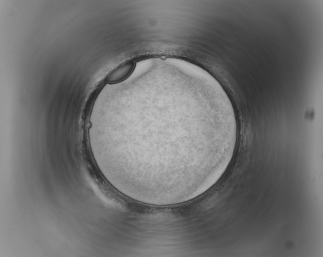 X0000111940674200908241141