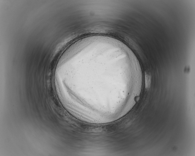 X0000111940675200908241141
