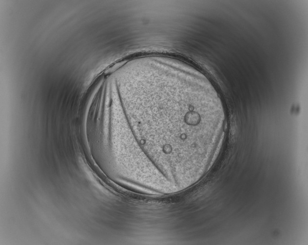 X0000111940677200908241141