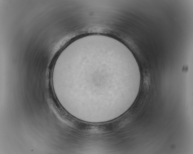 X0000111940678200908241141