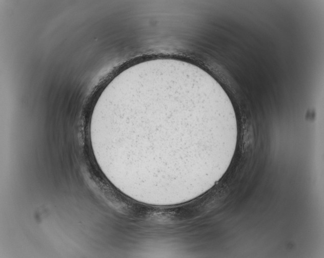X0000111940680200908241141