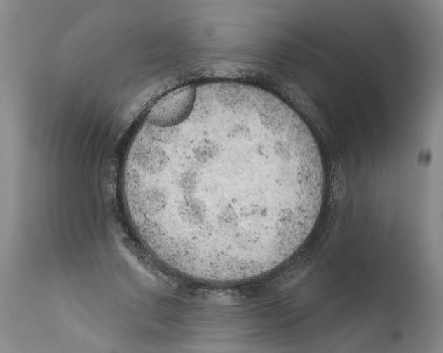X0000111940683200908241141
