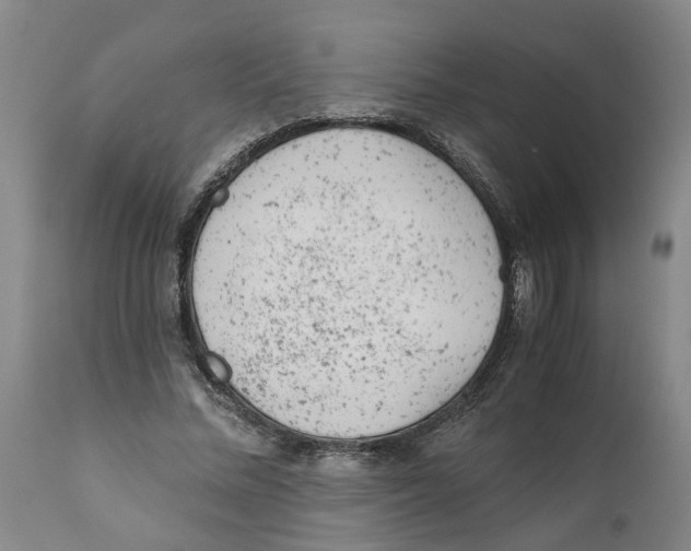 X0000111940684200908241141
