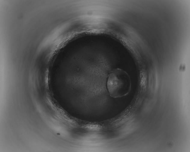 X0000111940685200908241141