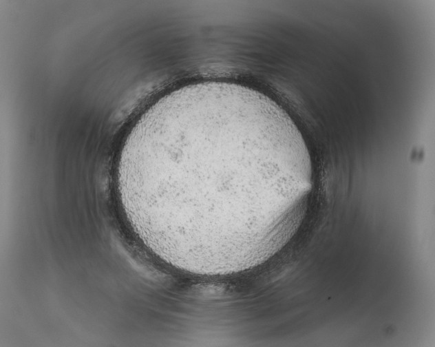 X0000111940687200908241141
