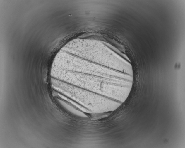 X0000111940693200908241141
