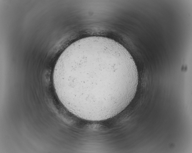X0000111940695200908241141