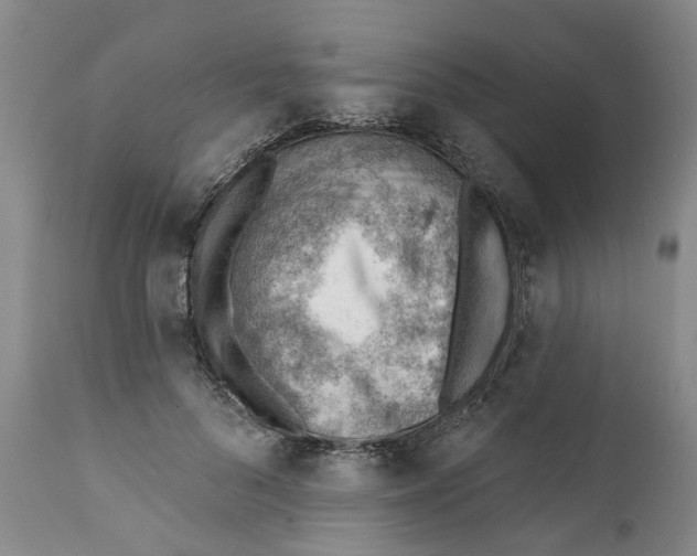 X0000111940696200908241140