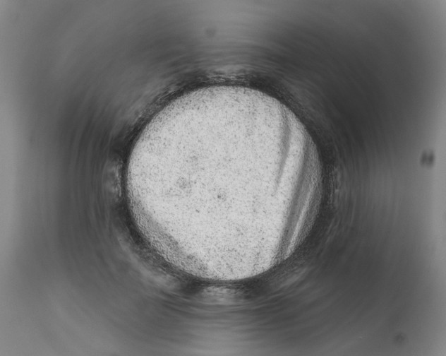 X0000111940699200908241140