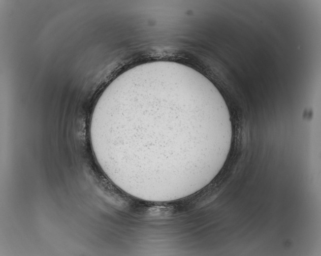 X0000111940700200908241140