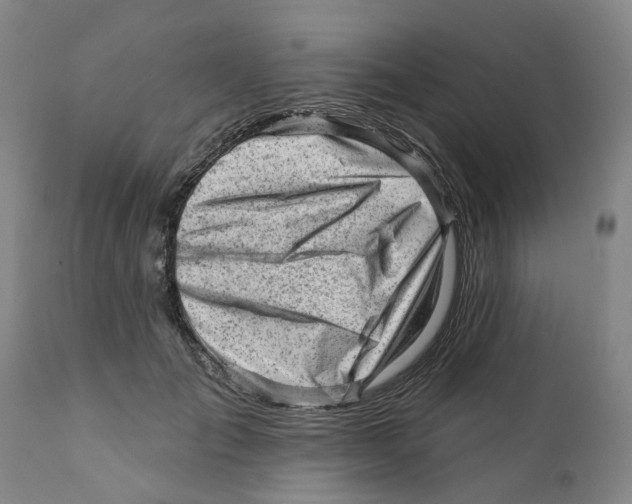 X0000111940701200908241140
