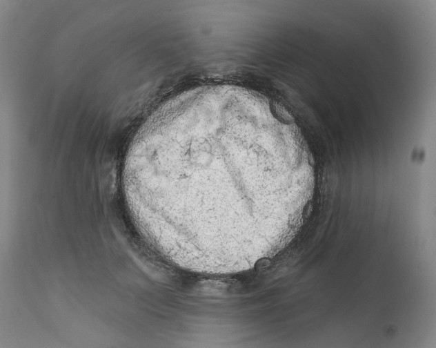 X0000111940703200908241140