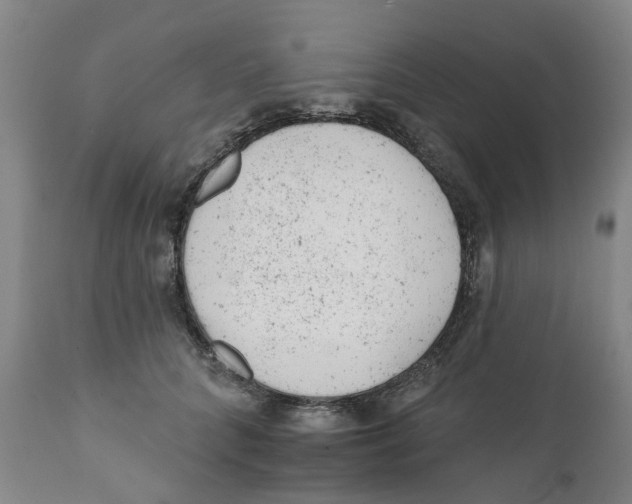 X0000111940704200908241140