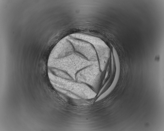 X0000111940705200908241140