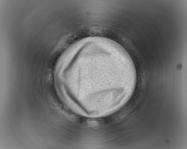 X0000111940706200908241140