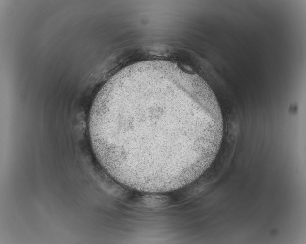 X0000111940707200908241140