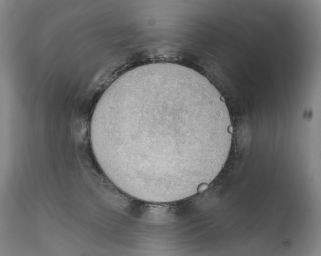 X0000111940709200908241140