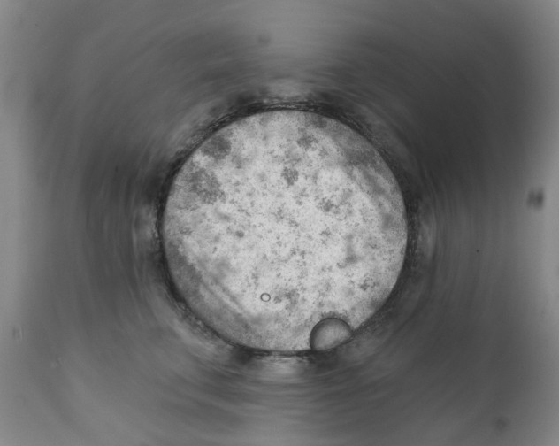 X0000111940711200908241140
