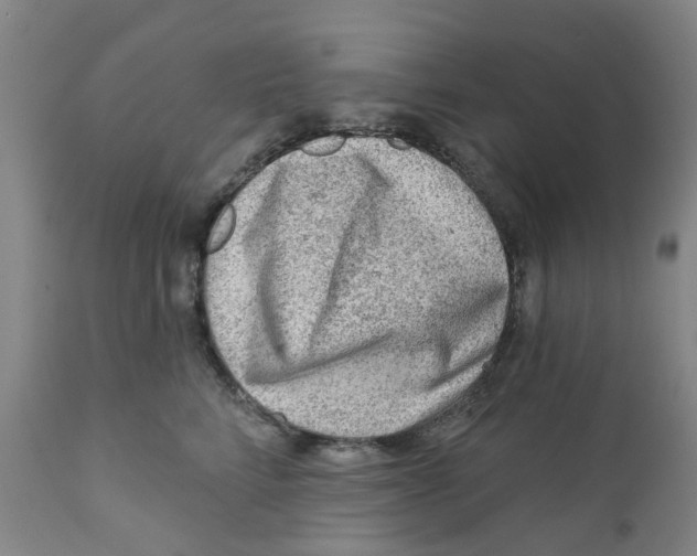 X0000111940712200908241140