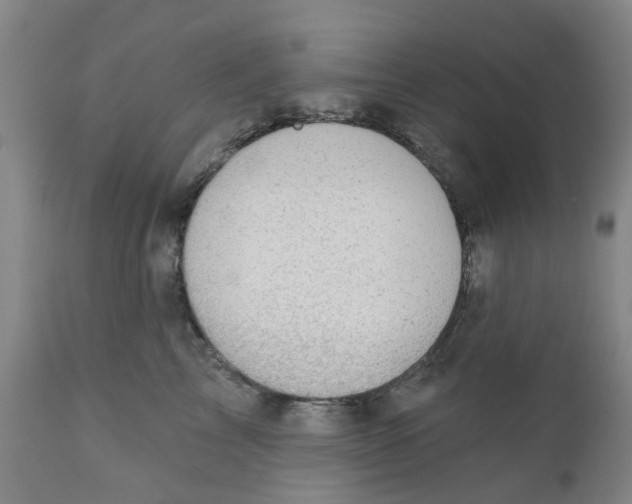X0000111940713200908241140