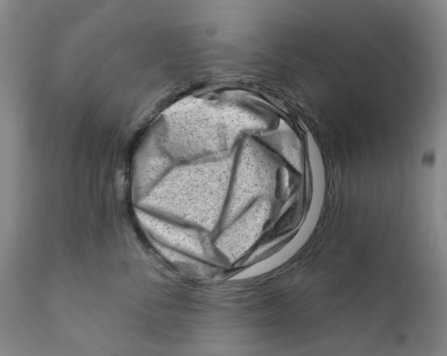X0000111940716200908241140