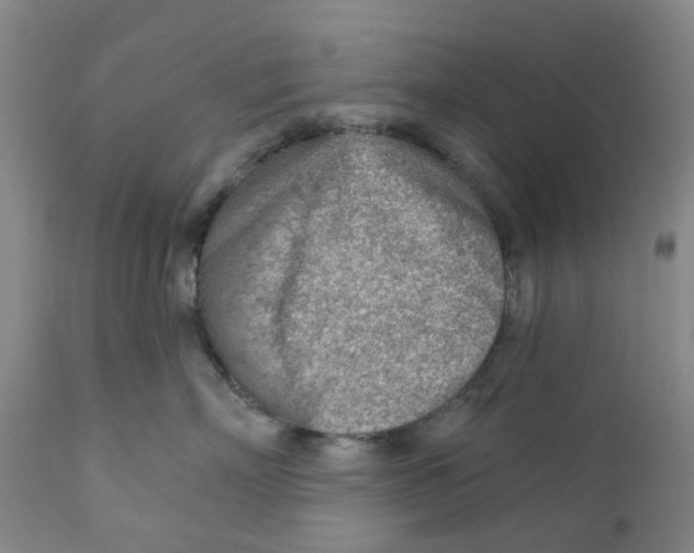 X0000111940718200908241140