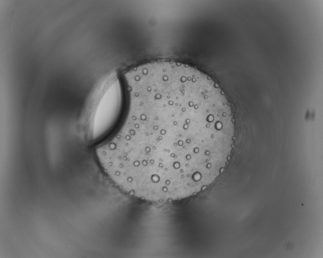 X0000111940720200908241140