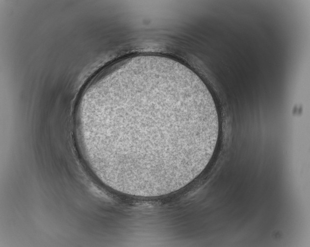 X0000111940721200908241139