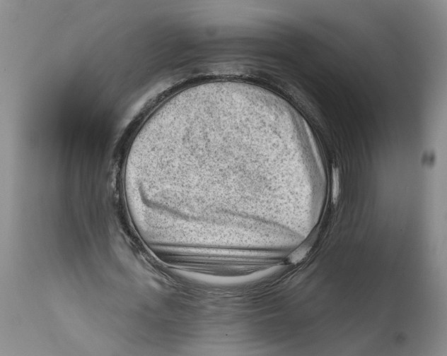 X0000111940723200908241140