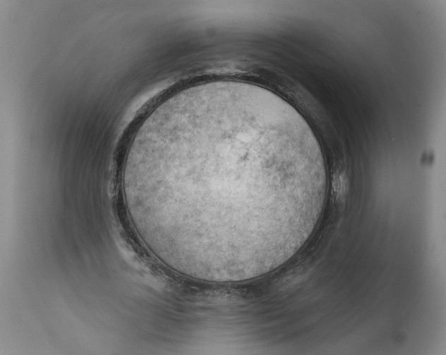 X0000111940724200908241140
