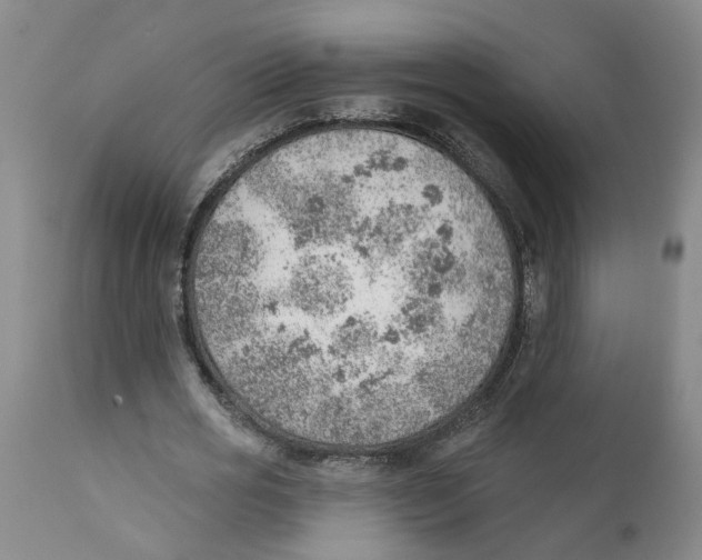 X0000111940725200908241140