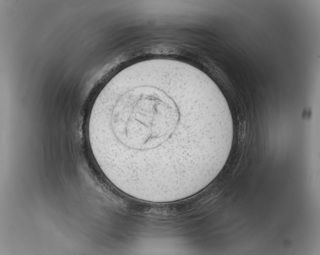 X0000111940727200908241140