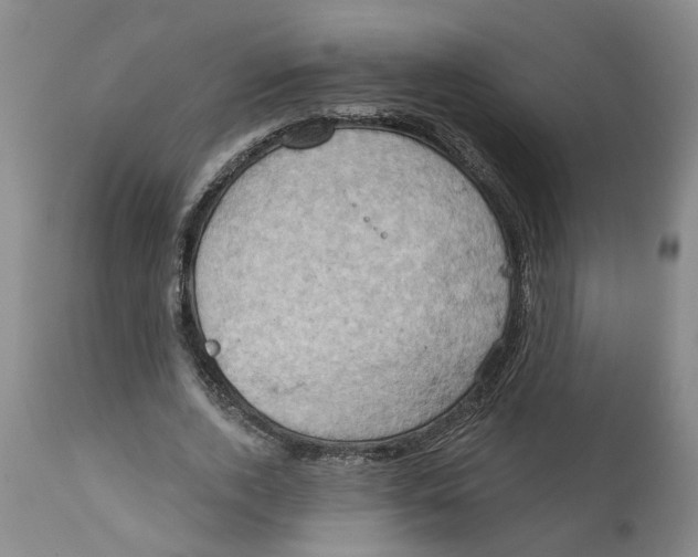 X0000111940728200908241140