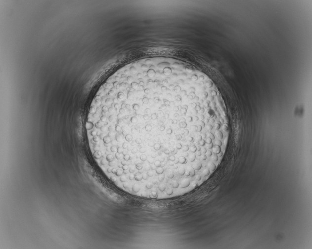 X0000111940729200908241140