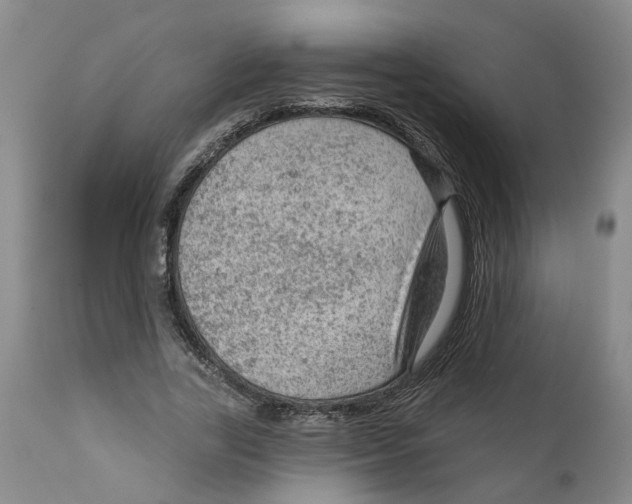 X0000111940731200908241140