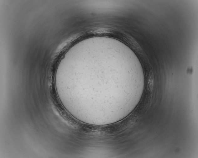 X0000111940732200908241140