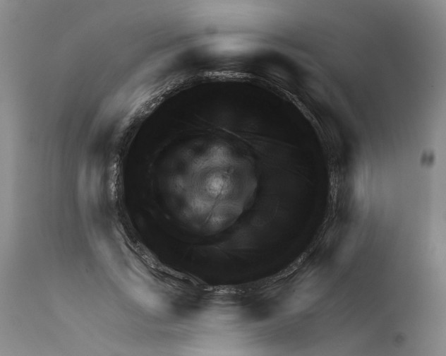 X0000111940735200908241140