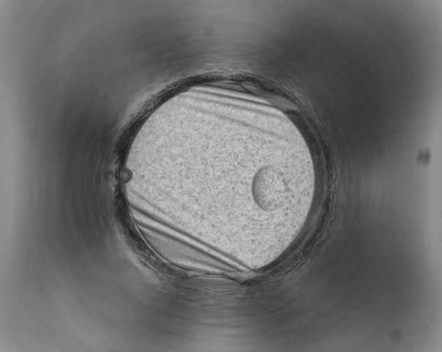X0000111940736200908241140